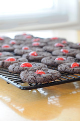 Chocolate Cherry Cookies On Rack