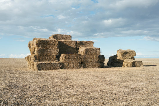 Pile of stacked hay bales on farmland