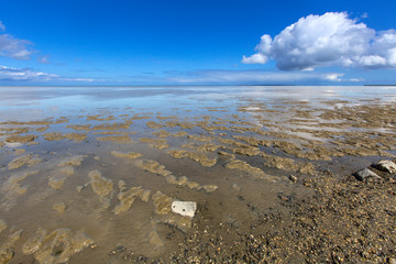 Tidalflats Peazemerlannen