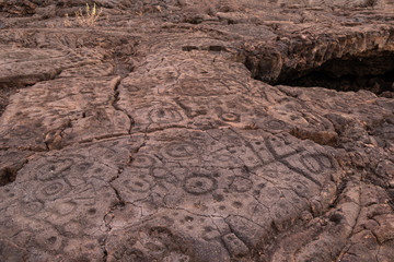Petroglyphs in Waikoloa Field, on the King's Trail (