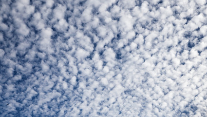 Cloudy blue sky. Background texture.