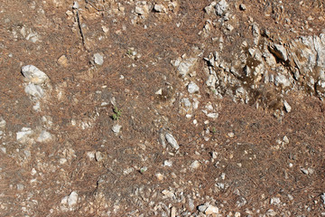 Eroded rock surface partly covered with fallen pine needles and branches