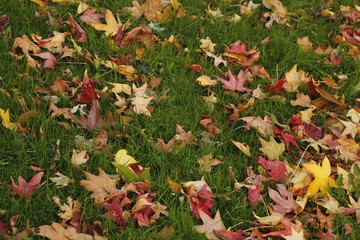 Otoño