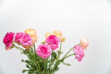 Pink and Peach Color Ranunculus Bouquet