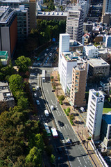 Top view of a road in Tokyo in the daytime