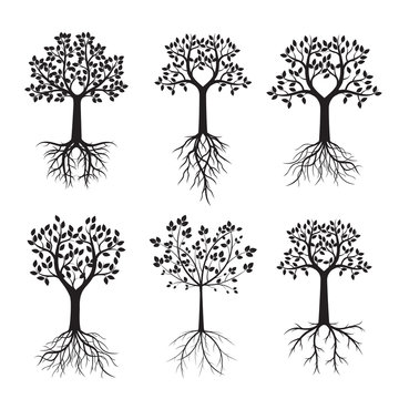 Set of black Trees and Roots. Vector Illustration.