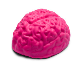 Pink Brain