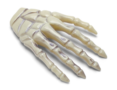 Plastic Bone Hand