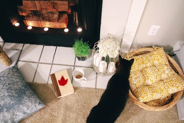  cozy atmosphere at home, evening by the fireplace with a book. place for cats, sharpen claws.