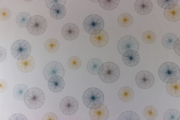 papier peint cercles