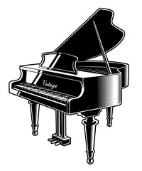 Vector illustration of the piano © Harry Kasyanov