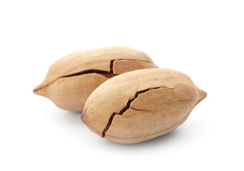 Pecan nuts in shell on white background. Nutritive food