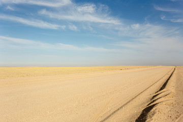 Fototapeta na wymiar Namibia beautiful landscape during winter