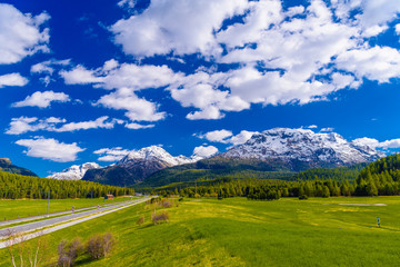 Obraz premium Green fields and Alps mountains coevered with forest, Samedan, M