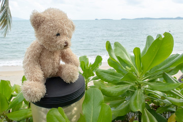 Bear is sitting alonely vary lonely at the seaside