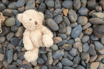 Bear is sitting alonely vary lonely at the seaside