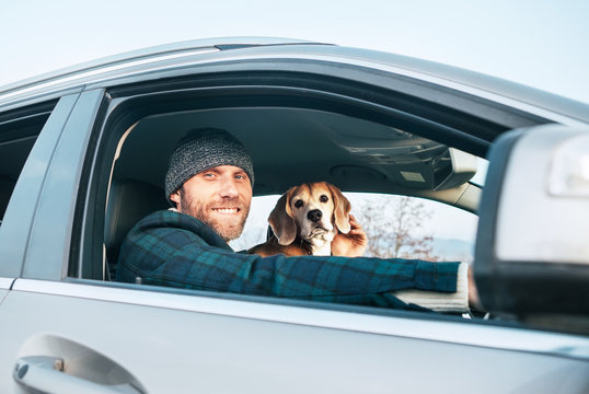 Man riding a car and his beagle dog sit inside near with him