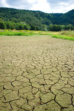 zone humide du lac d'Aydat en Auvergne, ass&eacute;ch&eacute;e durant l'&eacute;t&eacute;