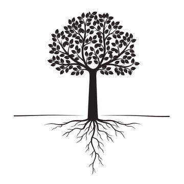 Black Trees and Roots. Vector Illustration.