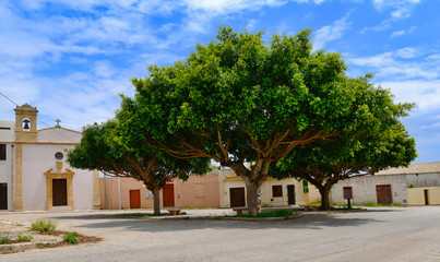 chiesa alberi piazza campagna paese verde chiesetta abitazione estate strada via aiuola giardino