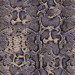 Animal print, leopard texture background