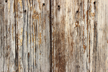 Old historical weathered wooden door vertical lines detail markings cracks surface texture background close up nails