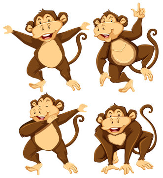 Monkey character with different pose