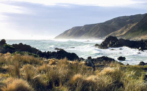 landscape image of the rocky coastal terrain of Cape Palliser, New Zealand.