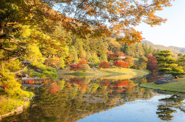Japanese garden in fall