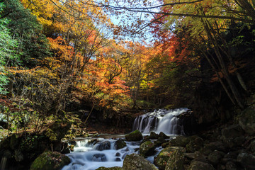 紅葉と滝