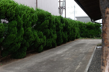 street wall background ,Industrial background, empty grunge urban street with warehouse brick wall