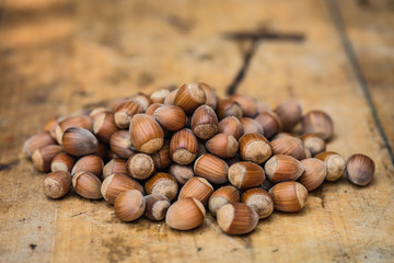pile of hazelnuts