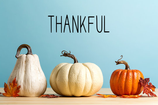 Thankful message with pumpkins on a blue background