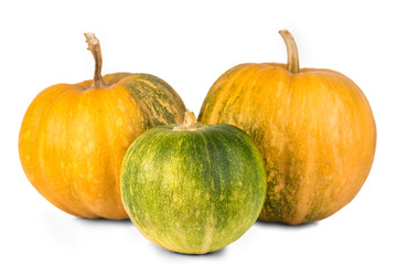 pumpkins isolated on white background