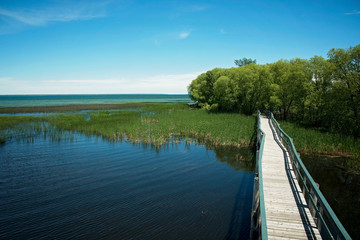 Bridge Lake Michigan