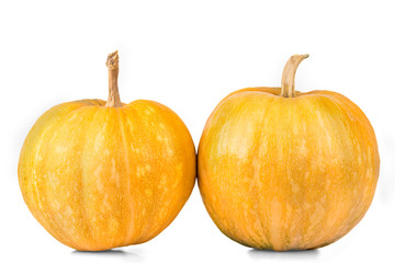 pumpkin isolated on white background
