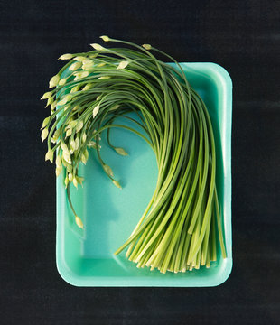 Garlic scapes on green tray