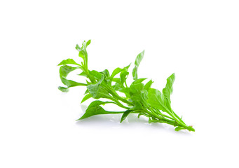 watercress isolated on white background