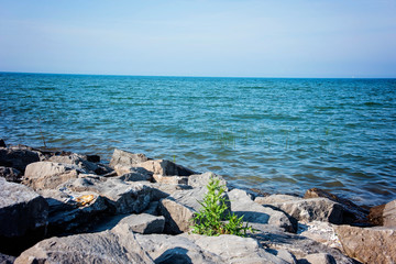 Lake Michigan water blue