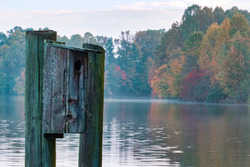 Bird House on the Lake