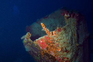 Mar Vermelho - Maio 2018