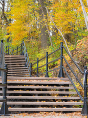 Stairs at Mount-Royal, Montreal, Canada.
