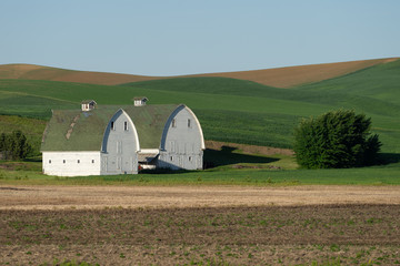 barn in field