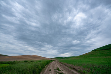 dirt road and cloudy sky