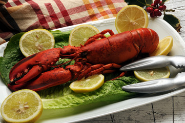Homarus Astice ロブスター Hummer همار Lobster 61123532 Astici