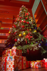 Presents and Gifts under Christmas Tree, Winter Holiday Concept.