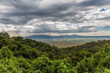 Obraz premium Ngorogoro Crater