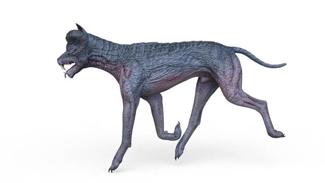 モンスタードッグ