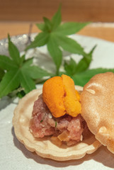 japanese sushi on a plate，Sea urchin