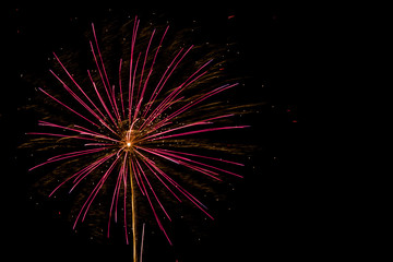 Fireworks in black sky